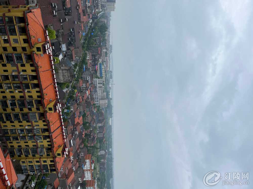0A17BA9A-2029-47A2-A108-7C18B7206136.jpeg