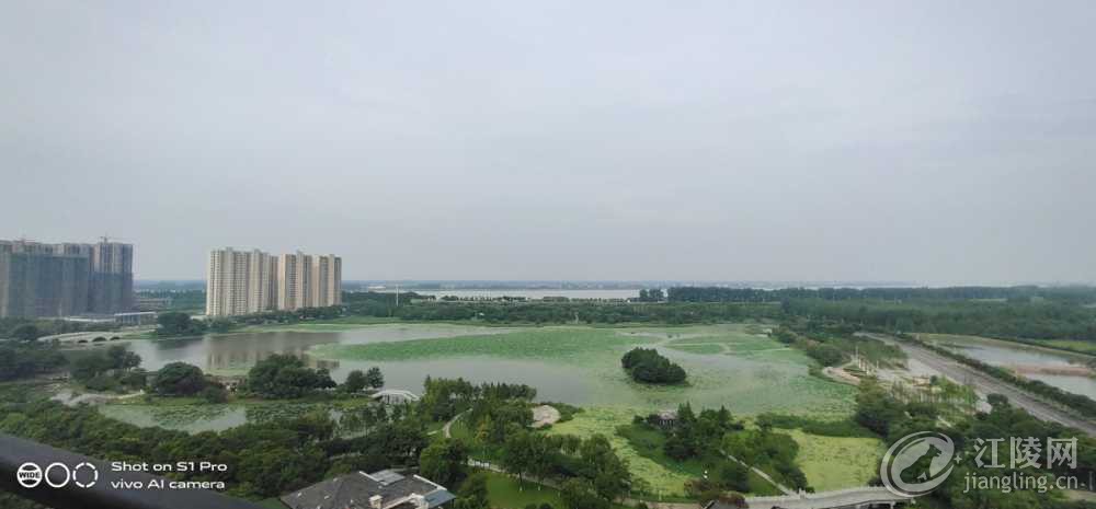 IMG_20220609_092942.jpg