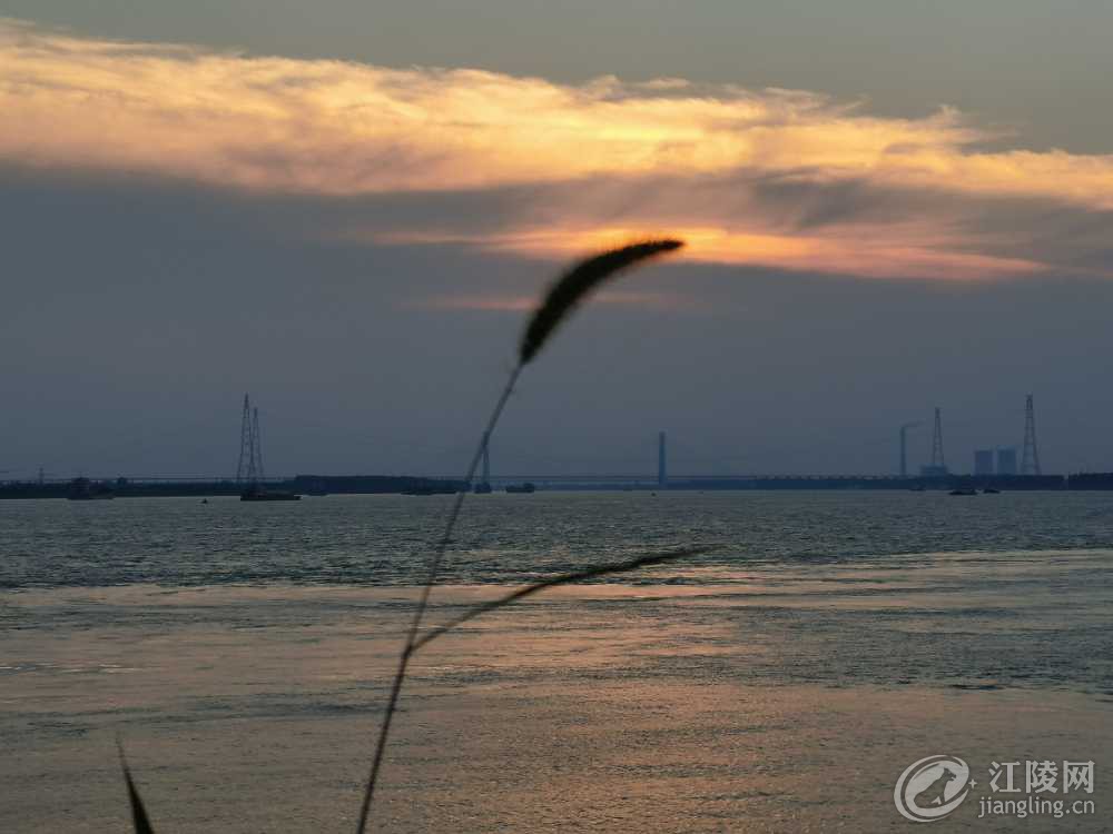 IMG_20220622_191740.jpg