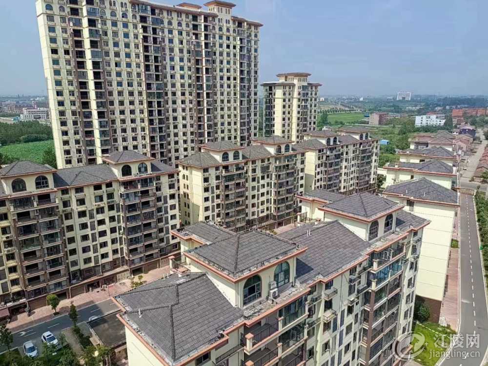 mmexport1649042030530.jpg