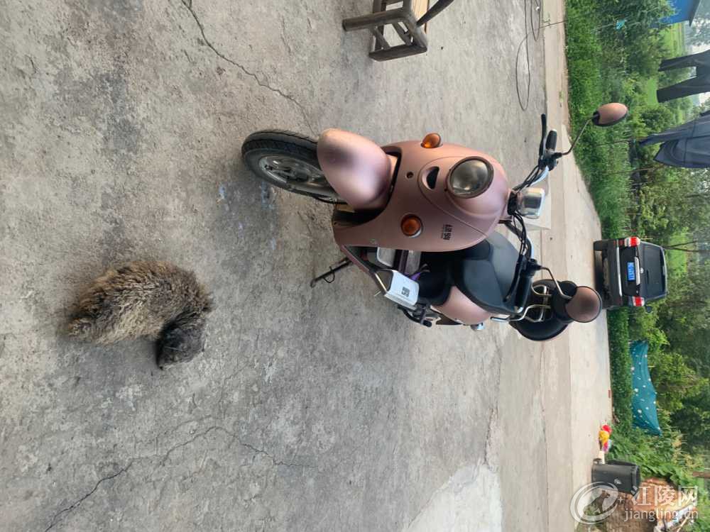 42C0251D-4630-4FF3-A121-3A97846B6530.jpeg