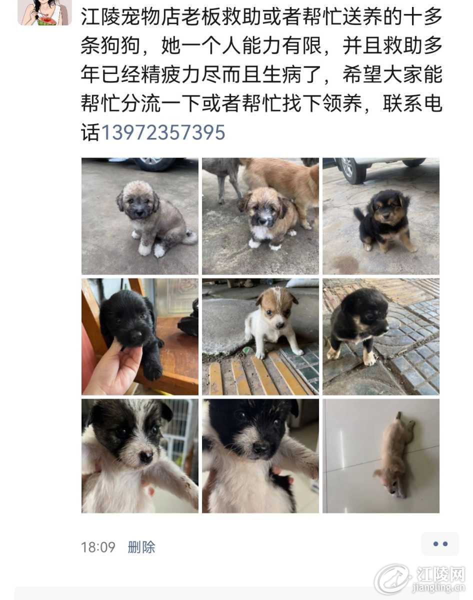 Screenshot_20220715_184617_com.tencent.mm_edit_100506287936225.jpg