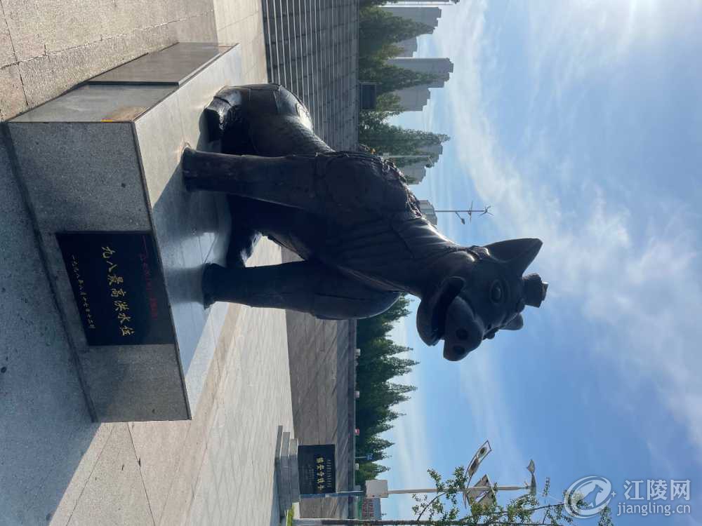 FDCDBA78-B5C9-4070-90D4-6844133763B1.jpeg