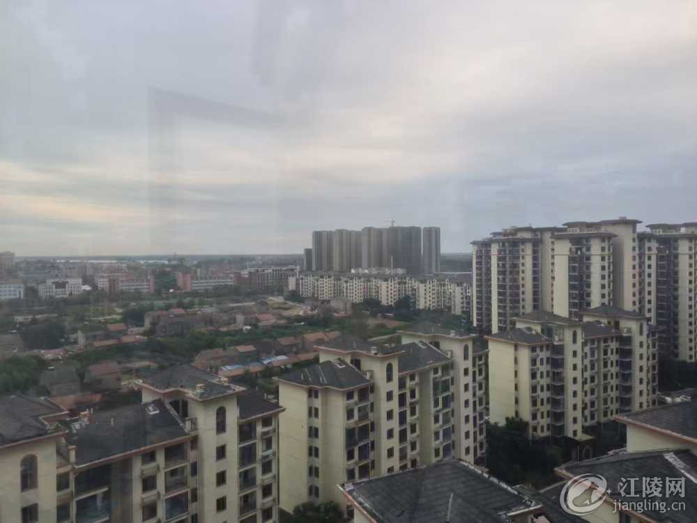 mmexport1662078735844.jpg