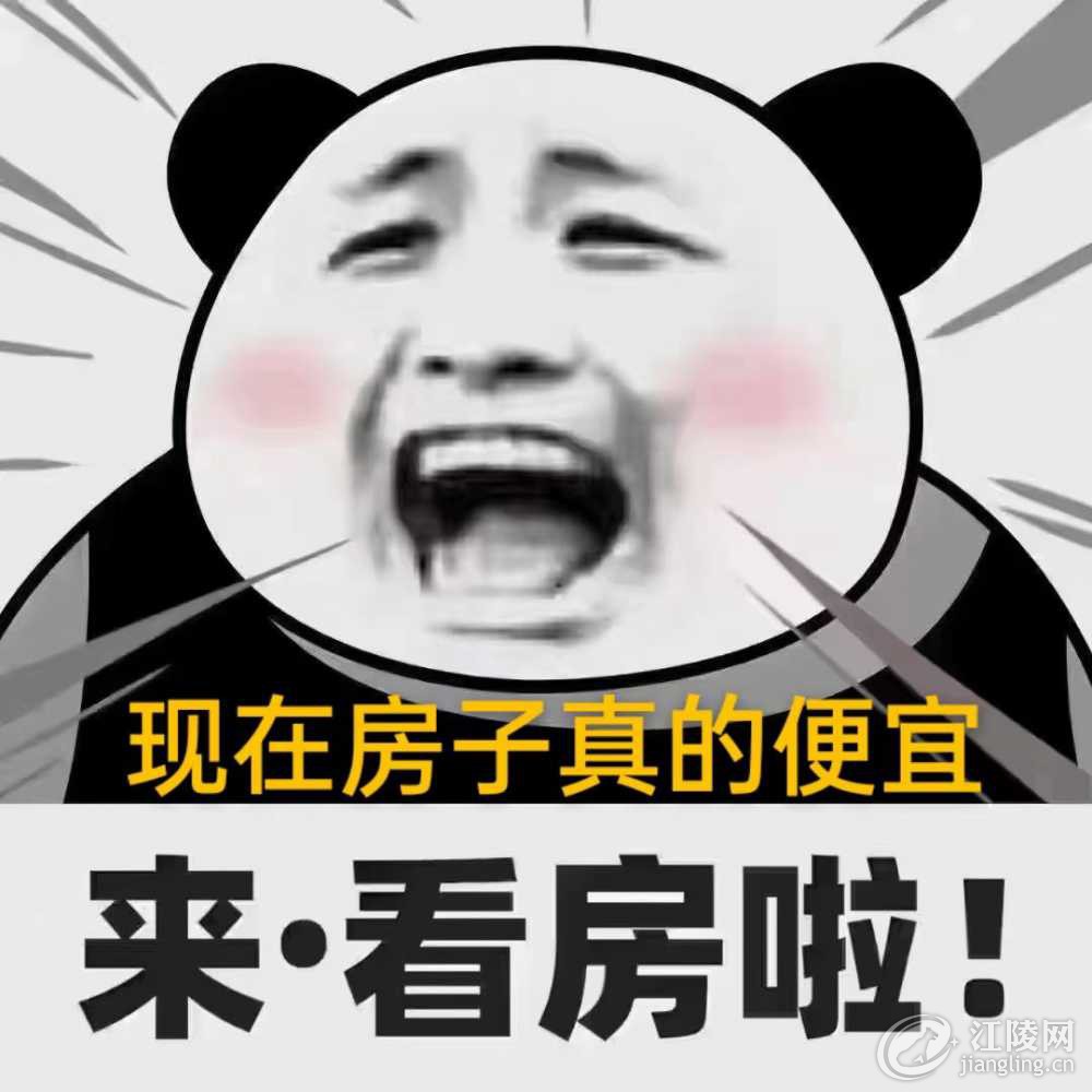 33ADAD5D-749D-4E2C-83D1-BC8040975CE2.jpeg