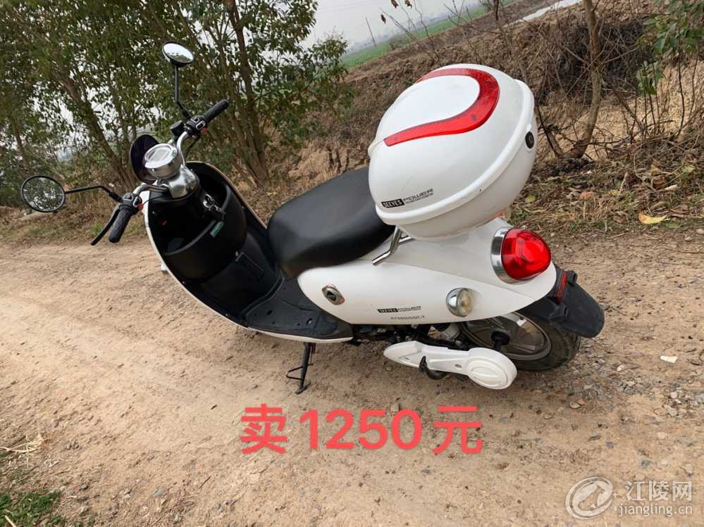 BA071369-3D25-4D12-844C-3CE77414C082.jpeg