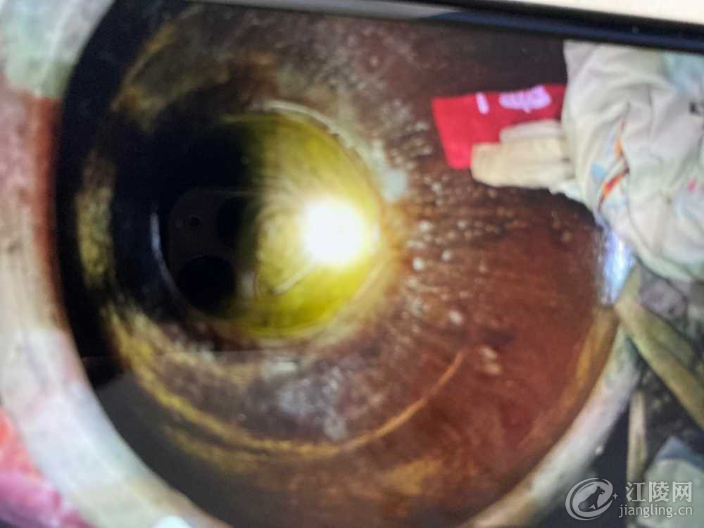 image.jpg