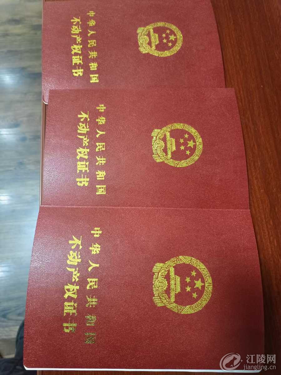 mmexport1681194151785.jpg