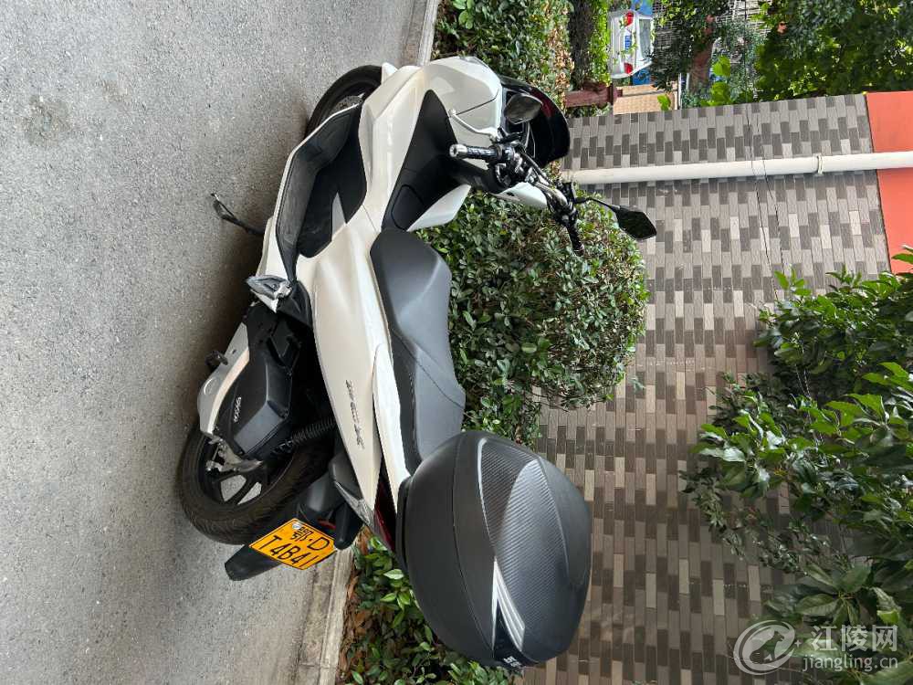 IMG_5914.jpeg