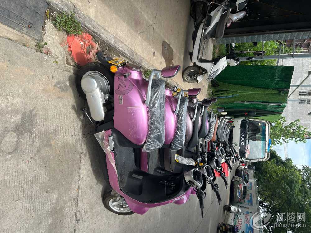 IMG_7260.jpeg
