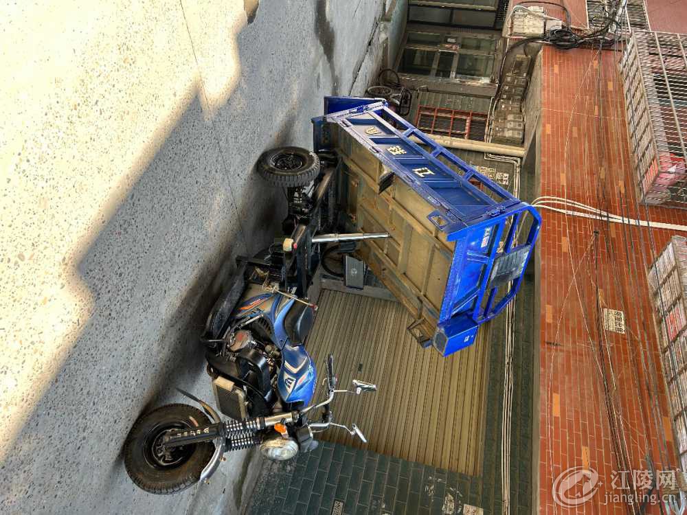 IMG_7098.jpeg