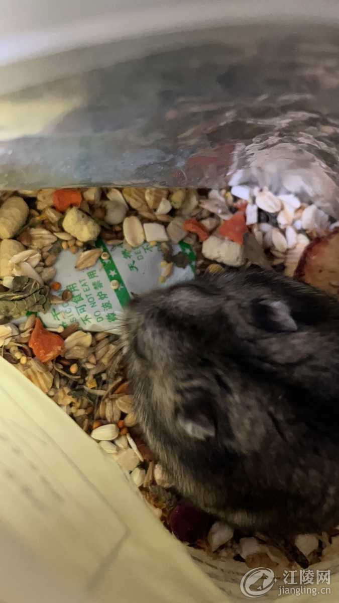 A9C333B5-A528-4064-9DDC-CCF157E3B424.jpeg