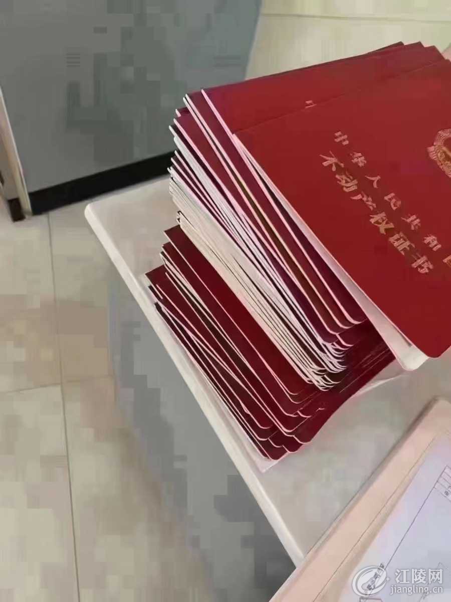 mmexport1695017346328.jpg
