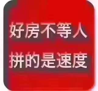 mmexport1691735909485.jpg