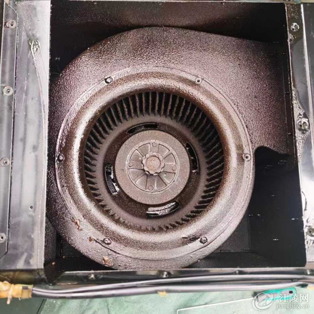 mmexport1697902859434.jpg