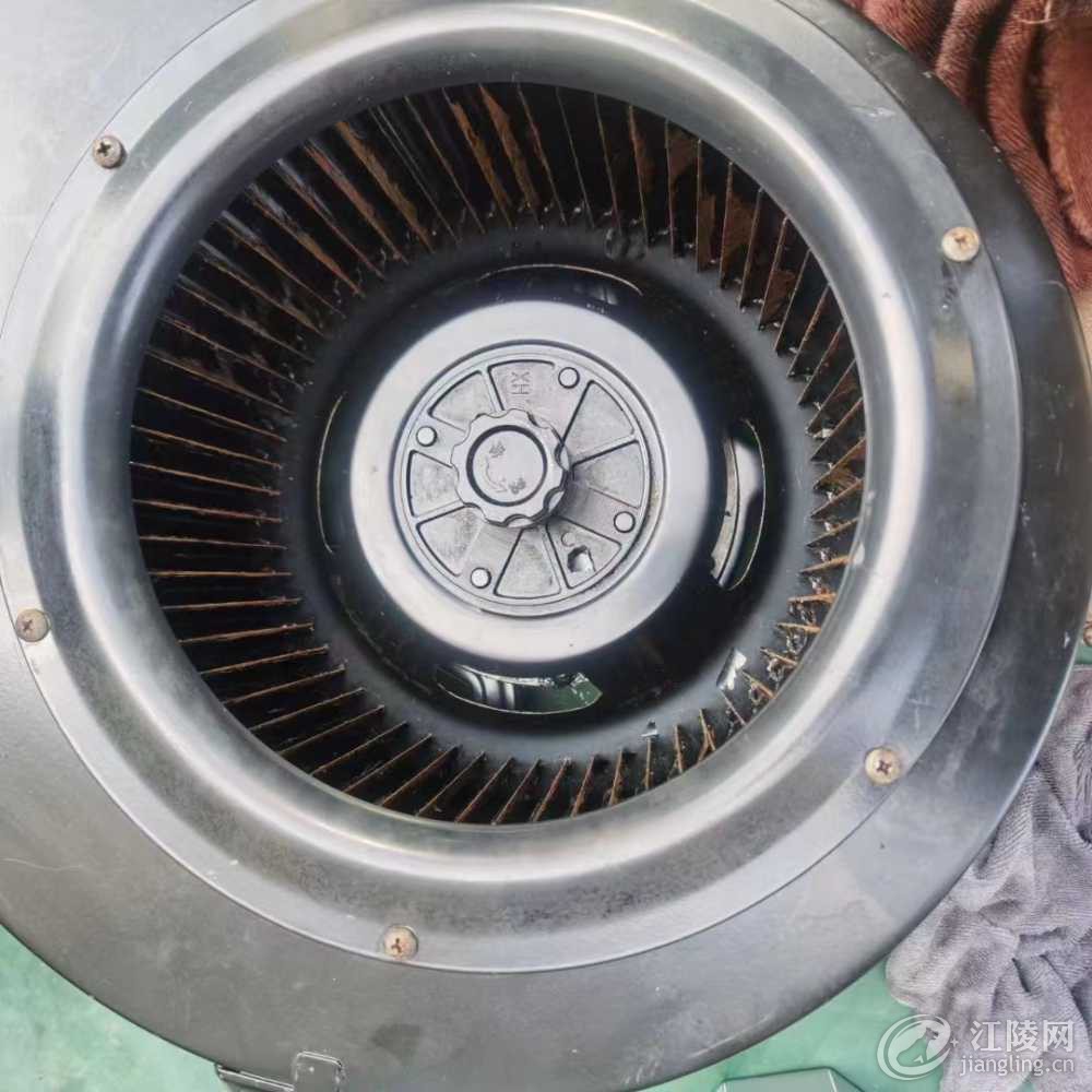 mmexport1697902886174.jpg