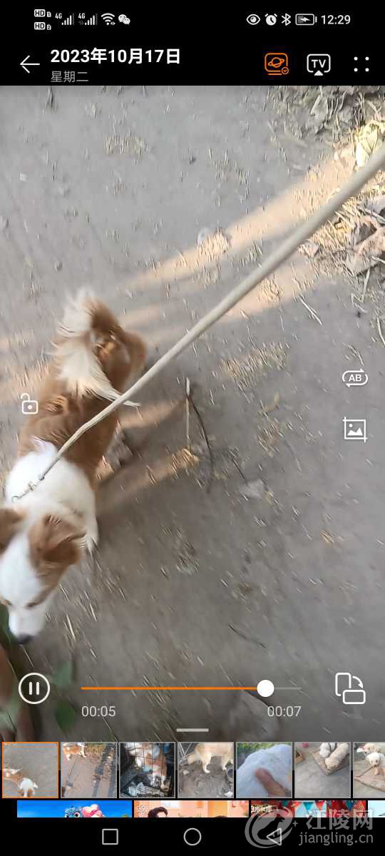Screenshot_20231104_122948.jpg