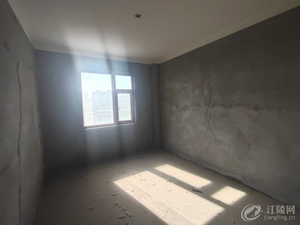 IMG_20231117_103524.jpg