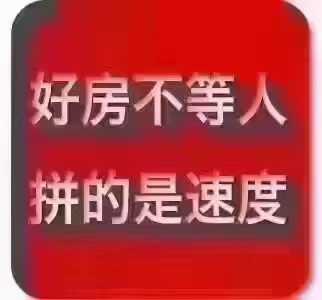 mmexport1700360664330.jpg
