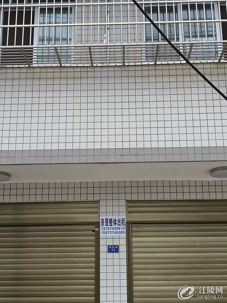 mmexportd838e0efd002c20a3ffb9f442335feff_1702196565558.jpeg
