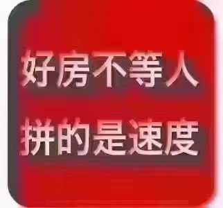 mmexport1703209021832.jpg