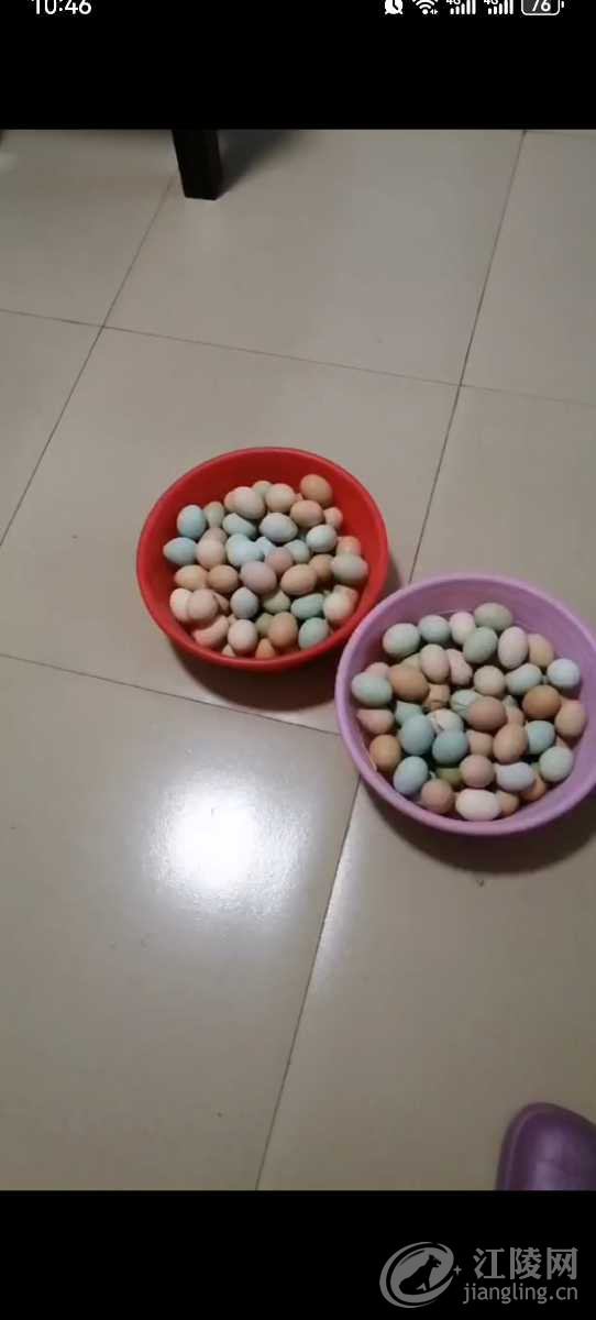 Screenshot_20231224_104625_com.huawei.himovie.local.jpg