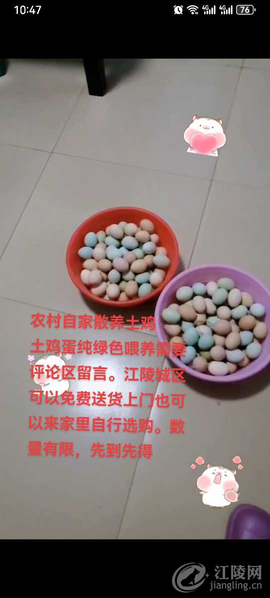 Screenshot_20231224_104720_com.huawei.himovie.local.jpg
