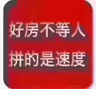 mmexport1703836446547.jpg