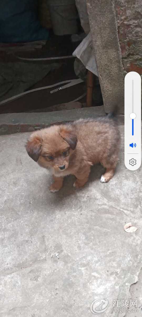 Screenshot_20240114_151720_com.huawei.photos.jpg