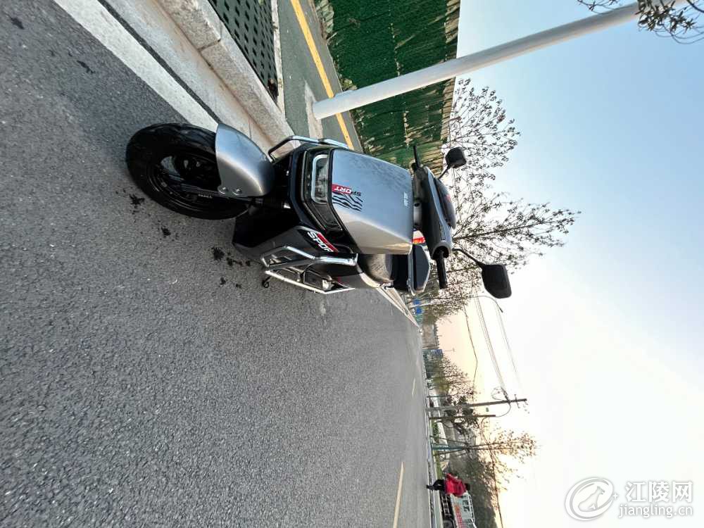 IMG_1536.jpeg