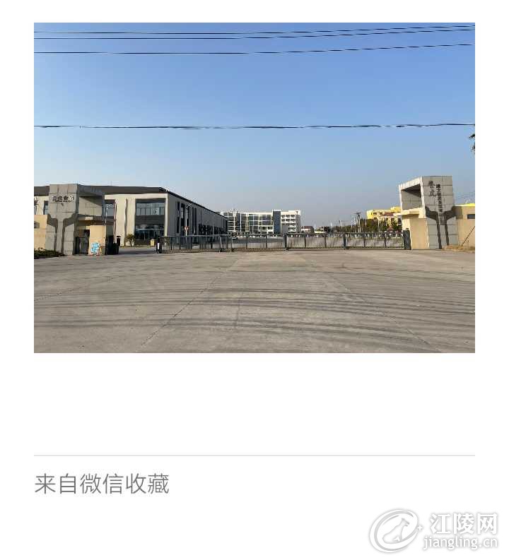 mmexport1708223976993.jpg