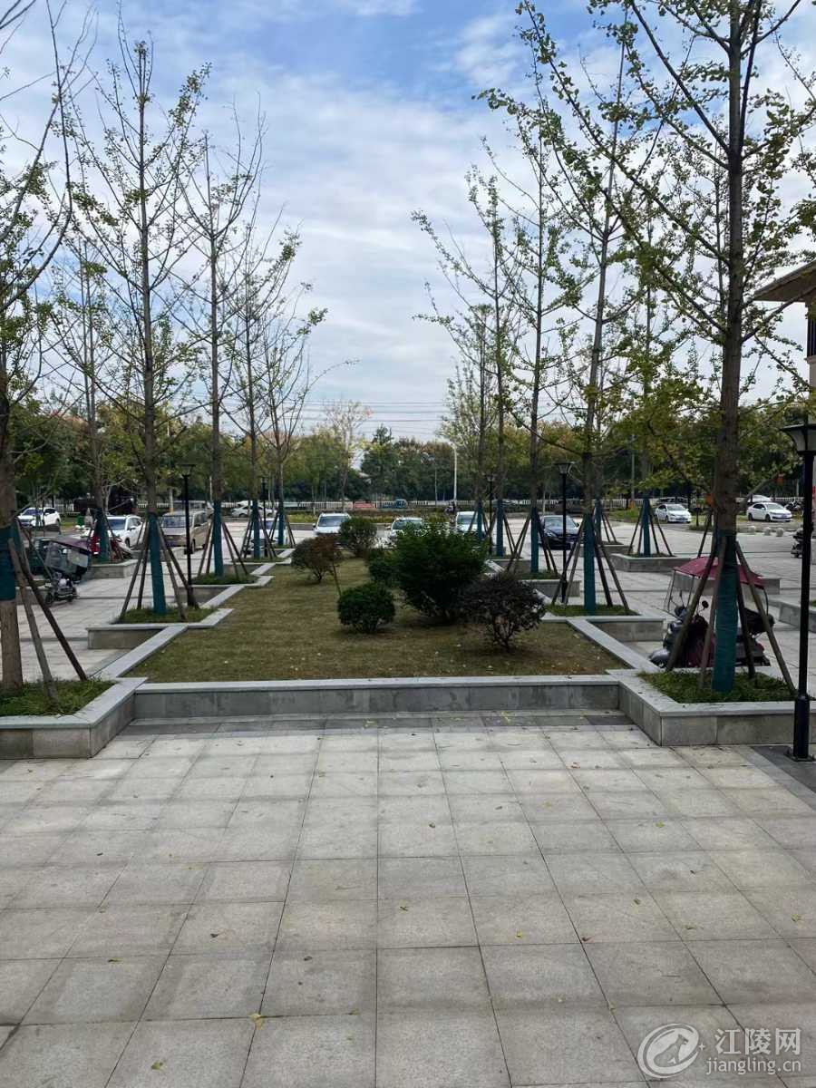 mmexport1706835859930.jpg