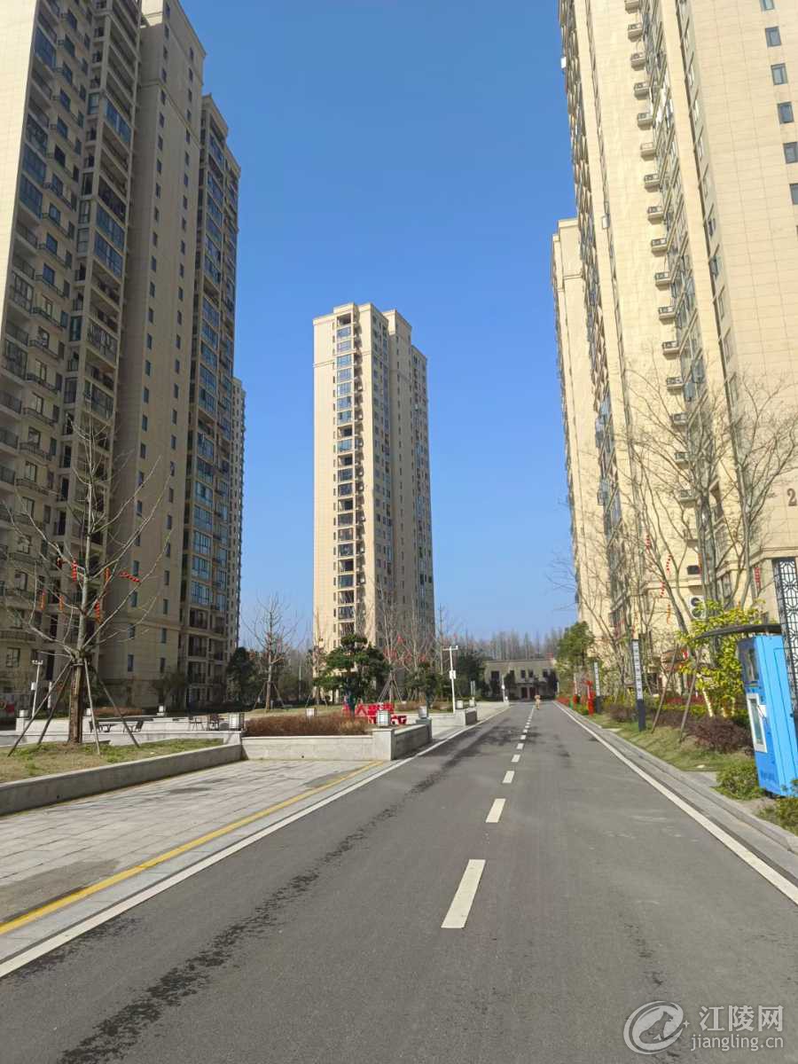 mmexport1711678229878.jpg