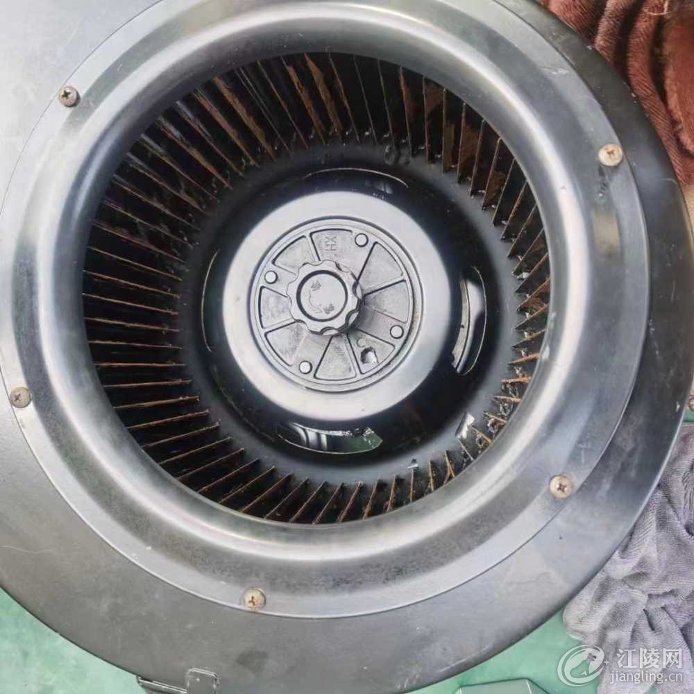 mmexport1697903100978.jpg