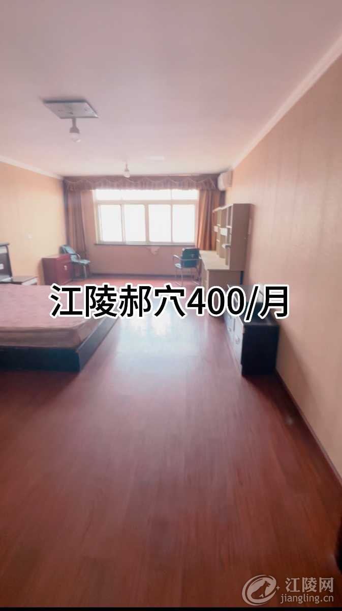 IMG_4802.jpeg