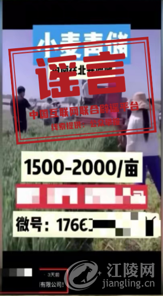 640 (1).png