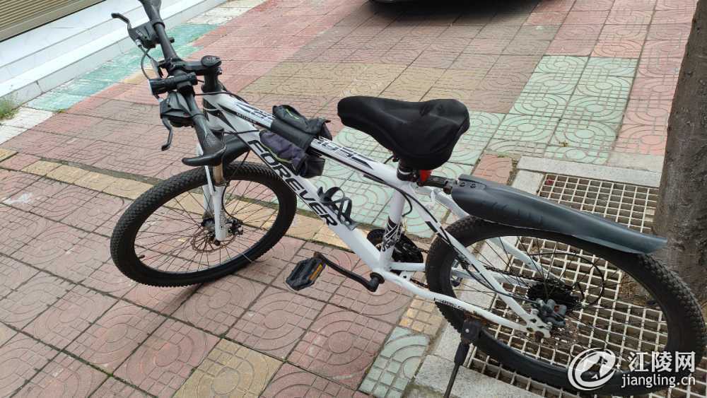 mmexportfee02d84f5f2e9cad02c5038d8999589_1714798593072.jpeg