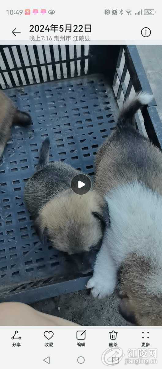 Screenshot_20240525_104905_com.huawei.photos.jpg