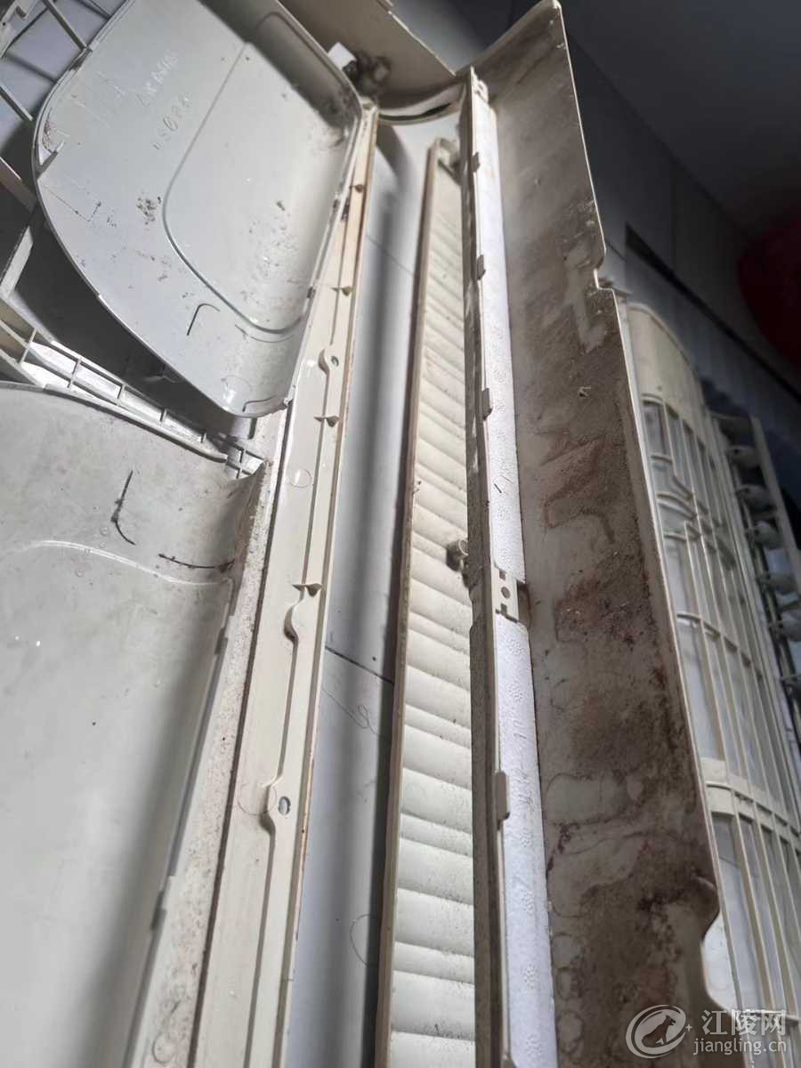 mmexport1716636307918.jpg