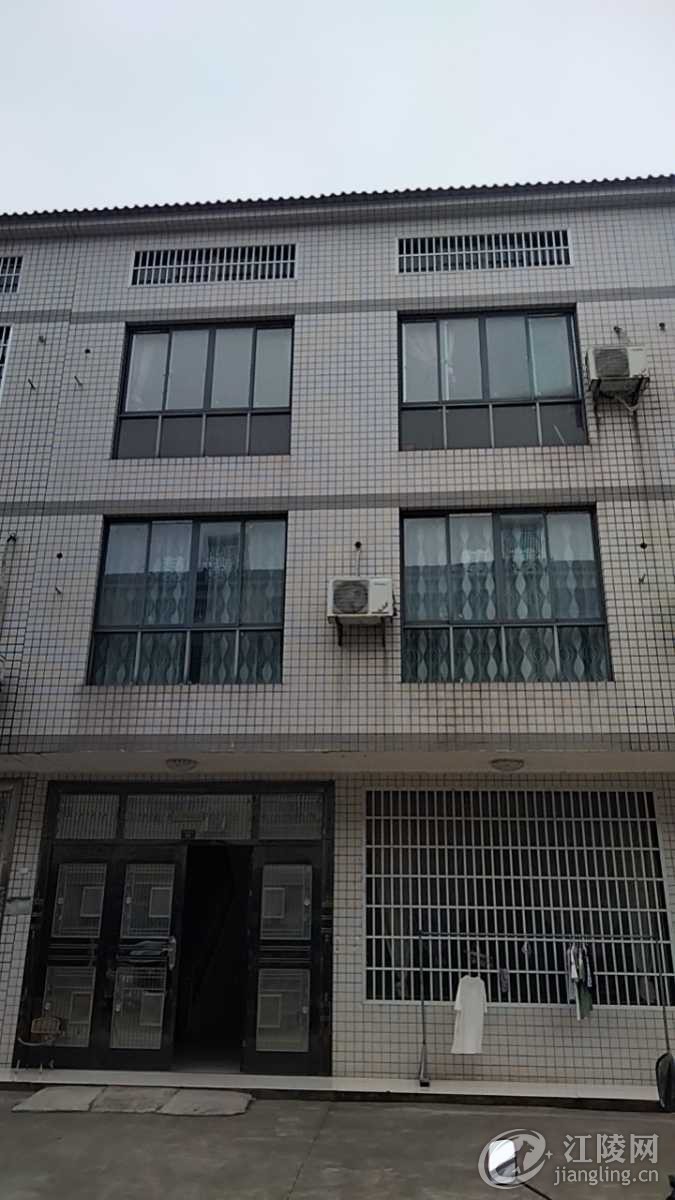 mmexport1719993024838.jpg