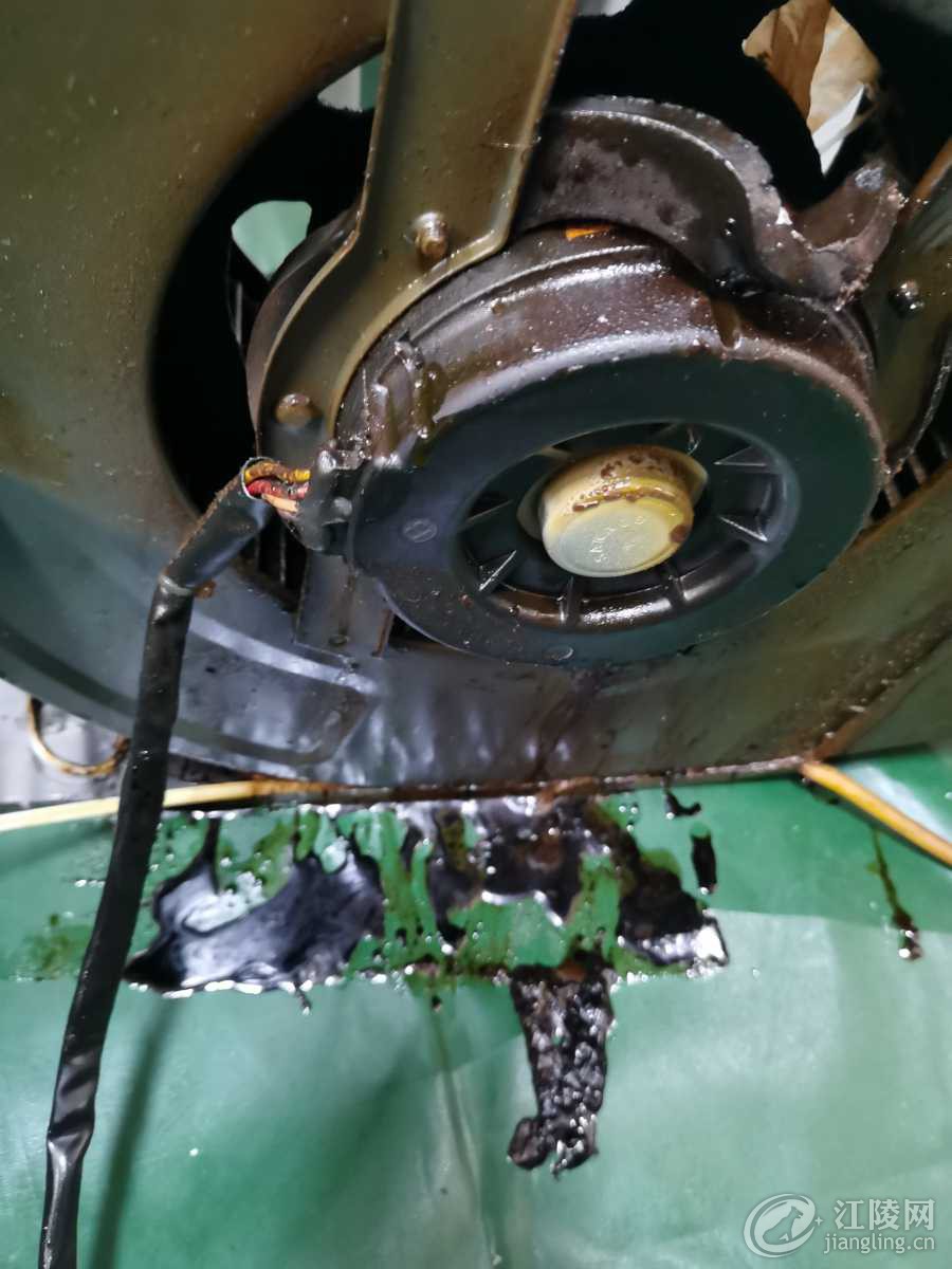 IMG_20240703_105934.jpg