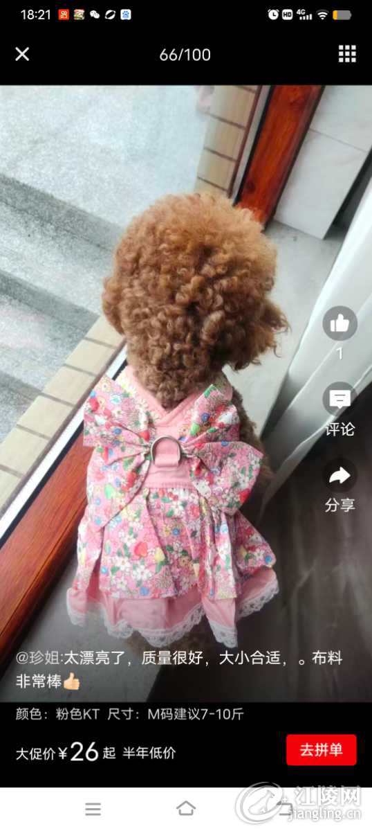 Screenshot_20240707_182125.jpg