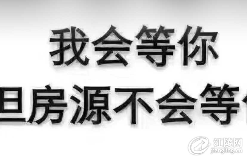IMG_7264.jpeg