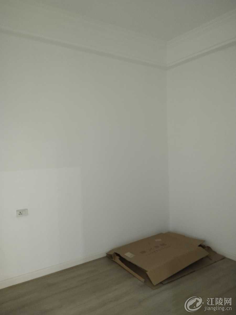 IMG_20240730_100437.jpg
