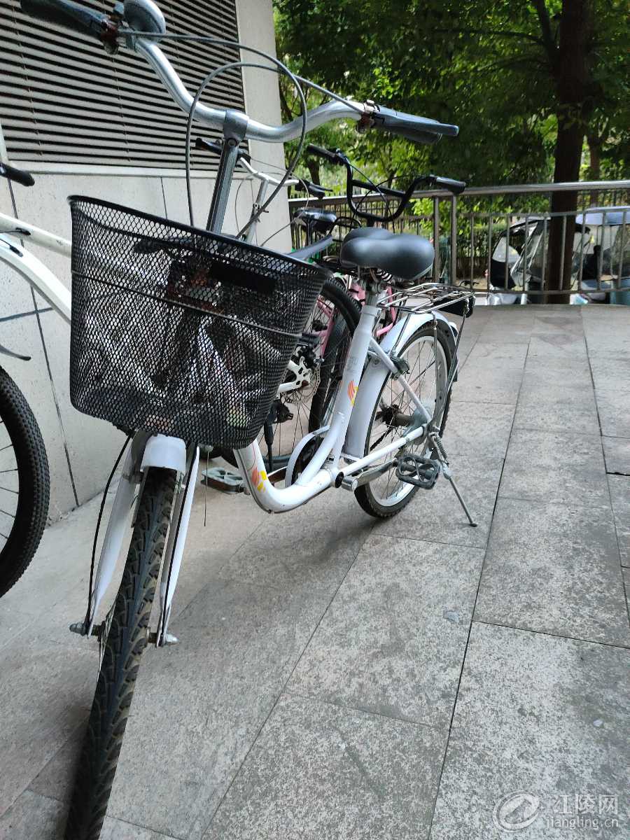 IMG20240908183350.jpg