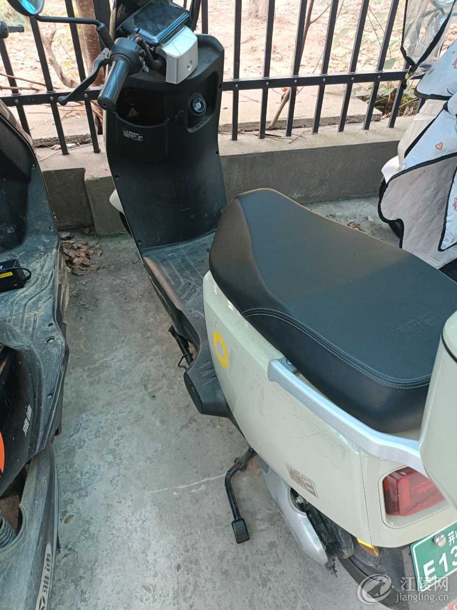 IMG20240910100115.jpg