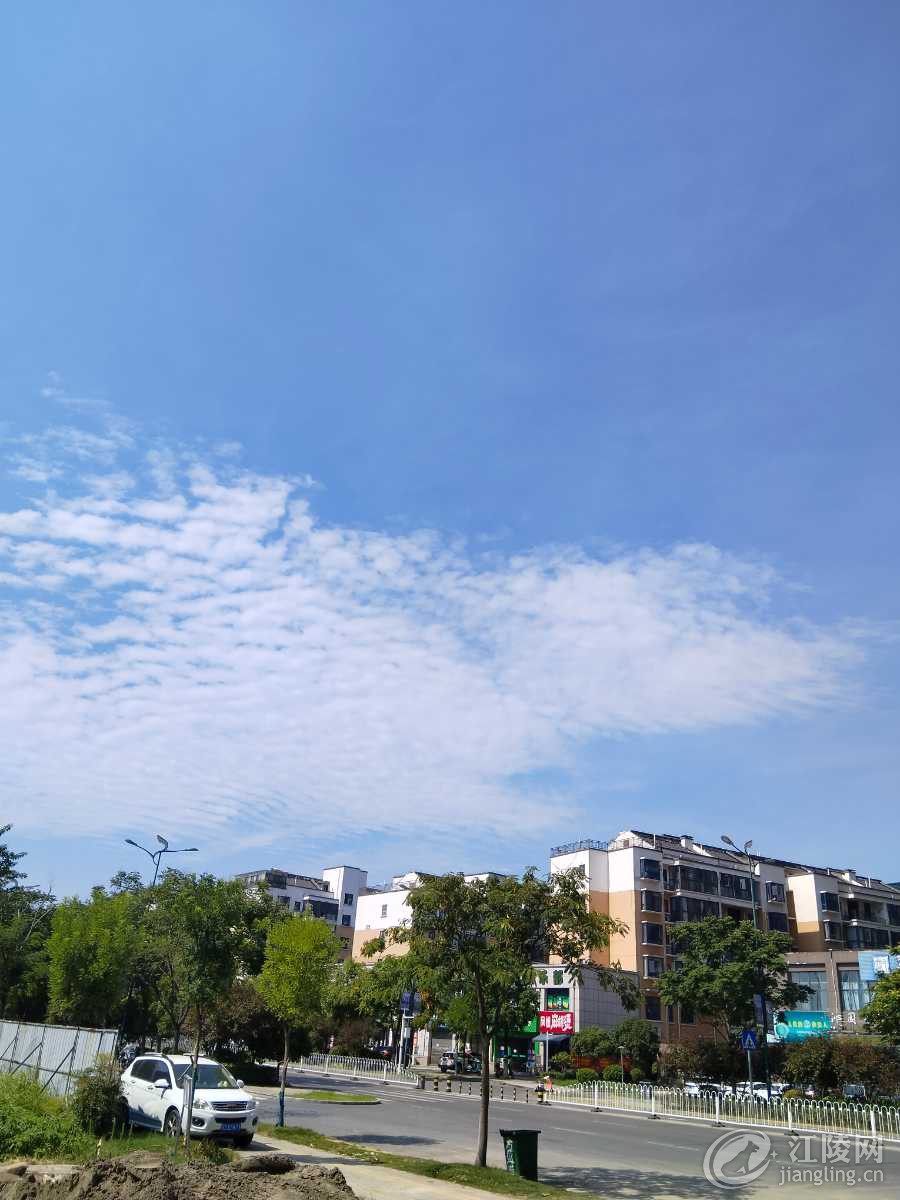 IMG_20240807_101350.jpg