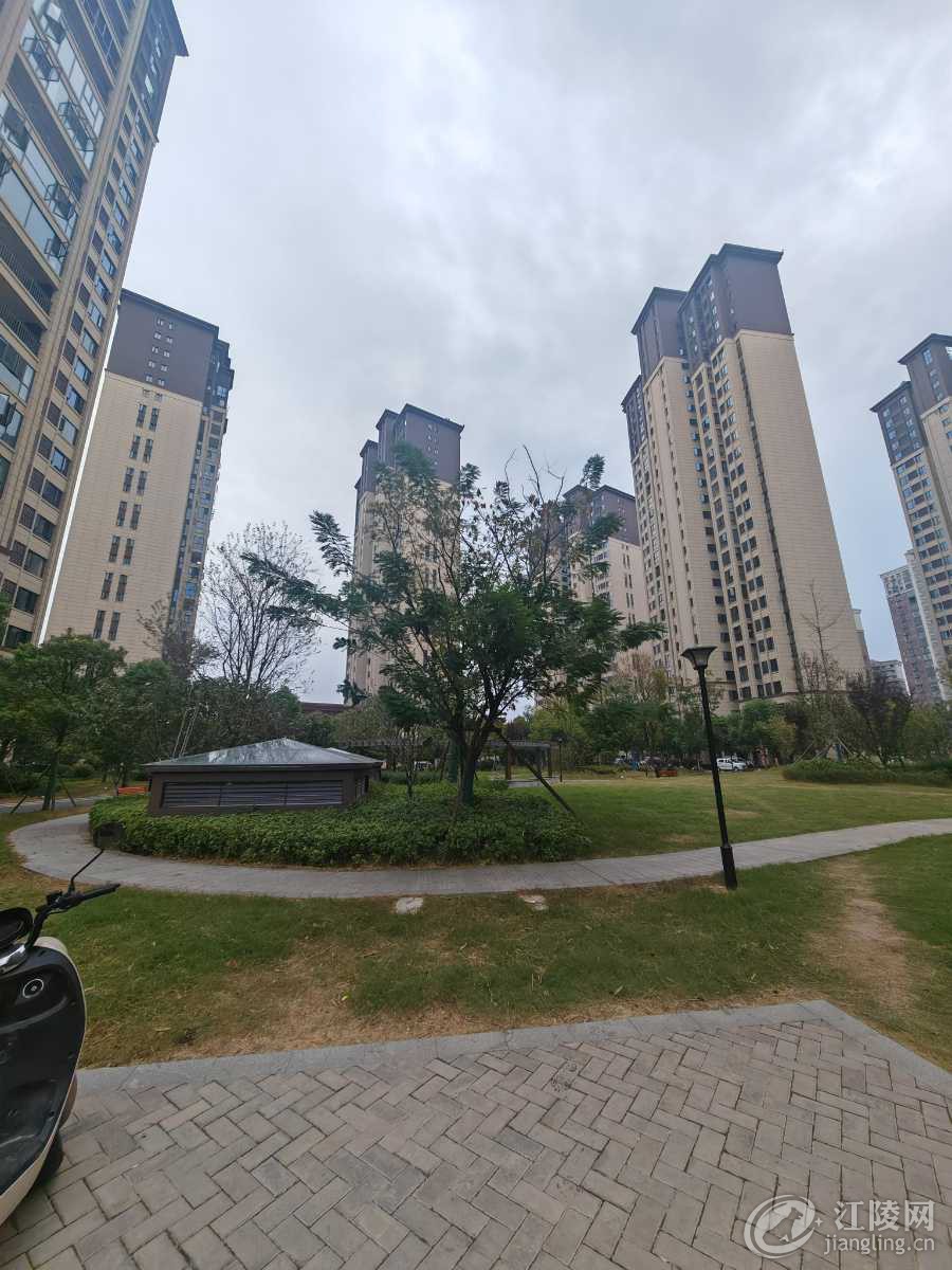 172827610296411101.jpg