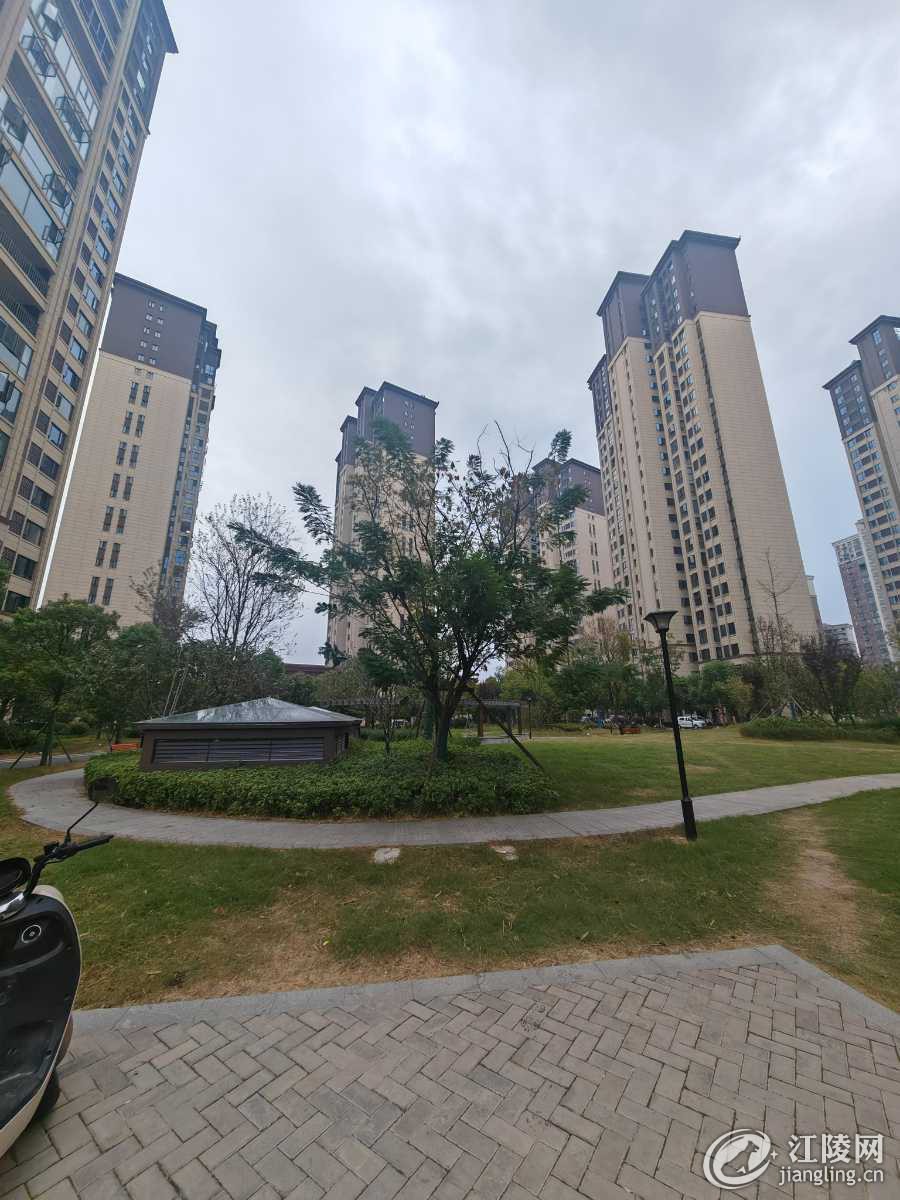 mmexportdc9bb9c7b00bdbc969619c78804c4ffa_1729245824162.jpeg