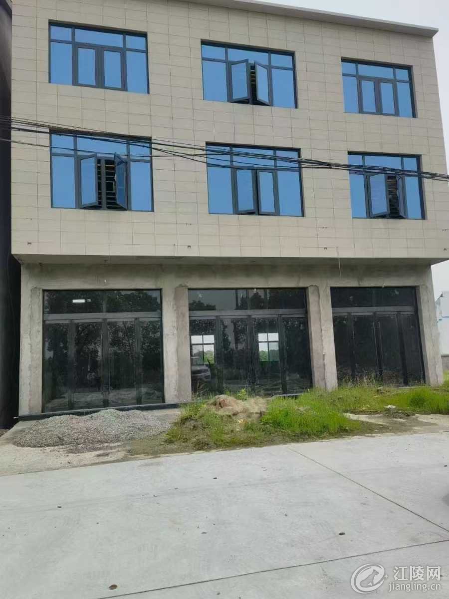 mmexport1729495123476.jpg